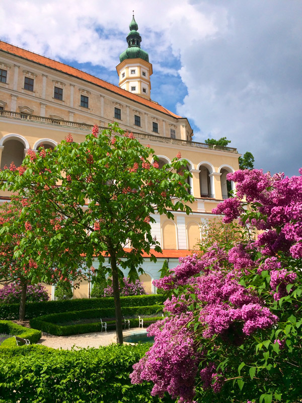 Mikulov je město mnoha tváří.